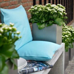 Kalanchoe 'Calandiva'®, Weiß, Topf-Ø 12 Cm, Höhe Ca. 27,5 Cm, 6er-Set -Gartenprodukte 0210350168 Kalanchoe Cal weiss2