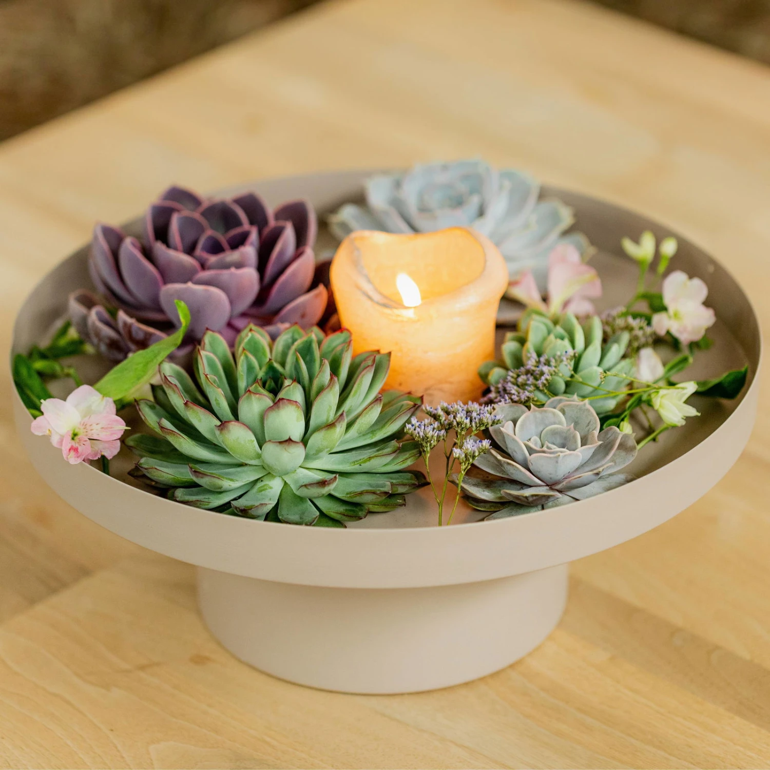 Schnittecheverien-Mix, Ø 8 Cm, 8er-Set 4 Schnittecheverien-Mix, Ø 8 Cm, 8er-Set – Bild 2