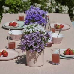 Glockenblume 'Ambella® Lavender' Hellviolett, Topf-Ø 15 Cm, 3er-Set -Gartenprodukte 0319200206 Campanula portenschl Ambella Lavender hellviolett T15 3er Set 16 126555