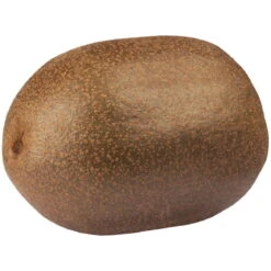 Gelbfruchtige Kiwi 'Golden Kiwi', 2er-Set, Topf 15 Cm Ø 13 Gelbfruchtige Kiwi 'Golden Kiwi', 2er-Set, Topf 15 Cm Ø -Gartenprodukte 0480960140 0480960142 Golden Kiwi 87664