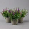 Angelonia 'Trio' Rosa-weiß-lila/blau, Topf-Ø 15 Cm, 3er-Set 1 Angelonia 'Trio' Rosa-weiß-lila/blau, Topf-Ø 15 Cm, 3er-Set -Gartenprodukte 0610103733 Angelonia trio T15 3er Set 1 125984