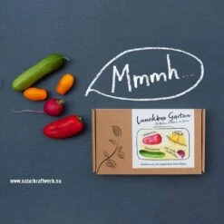 Mini-Gemüse' Saatgut: Balkonpaprika, Snackgurken, Obsttomaten, Radieschen -Gartenprodukte 0710102936 Lunchbox Garten mit Minigemuese 2 87439