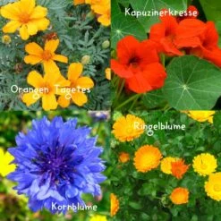 Blumensamen-Set Gourmet Blumen, Essbar, Bienenfreundlich, Dekorativ -Gartenprodukte 0710403583 Blumensamen Set Gourmet Blumen 4essbare Sorten mit organ Duenger 5 60480