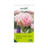 Tulpen 'Foxtrott', Rosa, 40 Blumenzwiebeln -Gartenprodukte 0720100846 KB Gefuellte fruehe Tulpen Foxtrot rosa 107153