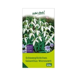 Schneeglöckchen, Galanthus Woronowii, 50 Blumenzwiebeln -Gartenprodukte 0720500090 KB Schneegloeckchen Galanthus Woronowii weiss 114227