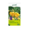 Kaiserkrone (Fritillaria Imperialis Lutea) Gelb, 3 Blumenzwiebeln 2 Kaiserkrone (Fritillaria Imperialis Lutea) Gelb, 3 Blumenzwiebeln -Gartenprodukte 0720500237 kb fritillaria imperialis lutea gelb gr 20 3 st 1 76303