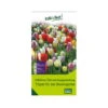 Überraschungsmischung Bauerngarten 75 Blumenzwiebeln -Gartenprodukte 0720800123 kb ueberraschungsmischung bauerngarten 114240