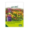 Tulpen-Kollektion Landhausgarten, 50 Blumenzwiebeln 1 Tulpen-Kollektion Landhausgarten, 50 Blumenzwiebeln -Gartenprodukte 0720800151 kb tulpen kollektion landhausgarten 114243