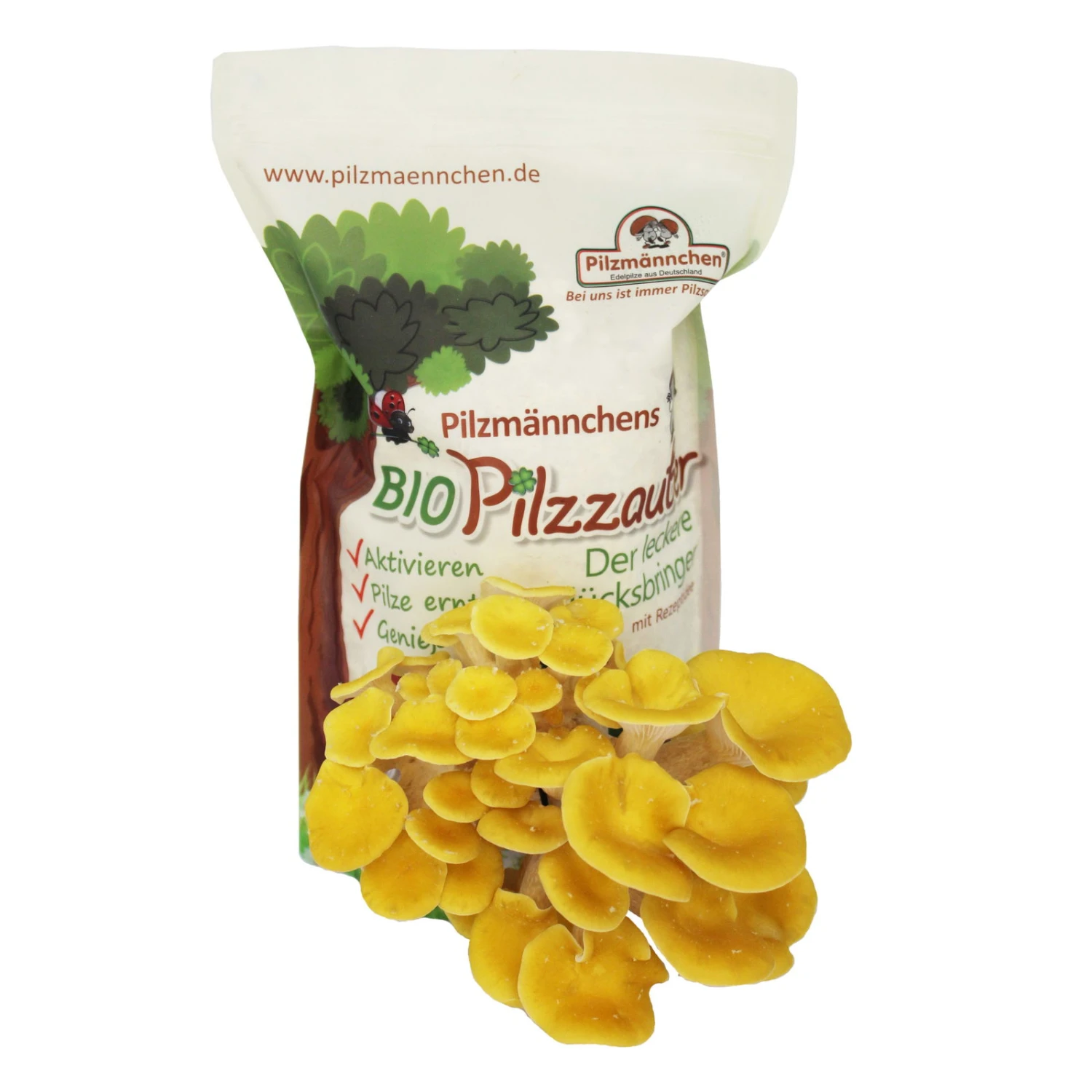 Pilzmännchen Bio Pilzzucht-Tüte Limonenpilz "Pilzzauber", 500 G 3 Pilzmännchen Bio Pilzzucht-Tüte Limonenpilz "Pilzzauber", 500 G