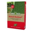 Rasensamen Für Nachsaat-Mantelsaat, 1 Kg -Gartenprodukte 0750100127 Greenfield Nachsaat Mantelsaat Mantelsaat Vital 1kg 108115