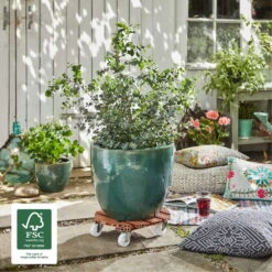 Multi Roller WPC, 150 Kg Tragkraft, Ca. 39 X 39 X 11 Cm 9 Multi Roller WPC, 150 Kg Tragkraft, Ca. 39 X 39 X 11 Cm -Gartenprodukte 0920600467 multi roller wpc terracotta 3 116653