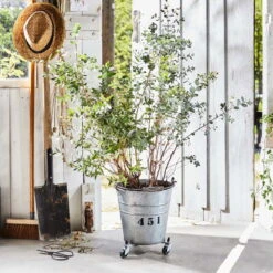 Multi Roller Sun City, Tragkraft 75 Kg, Stahl, Ca. 6 X 26,5-37,5 Cm -Gartenprodukte 0920600493 multi roller suncity small 3 116677