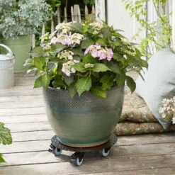 Pflanzenroller 'Alaska', Tragkraft 150 Kg, Anthrazit, Alu, 7 X 30 X 30 Cm -Gartenprodukte 0920600518 pflanzenroller alaska 3 116731