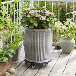 Pflanzenroller 'Alaska', Tragkraft 150 Kg, Anthrazit, Alu, 7 X 38 X 38 Cm 9 Pflanzenroller 'Alaska', Tragkraft 150 Kg, Anthrazit, Alu, 7 X 38 X 38 Cm -Gartenprodukte 0920600519 pflanzenroller alaska 3 116737