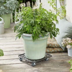 Pflanzenroller GH0936/0937, Tragkraft 80 Kg, Schwarz, Ø 30 Cm -Gartenprodukte 0920600521 pflanzenroller 3 116749