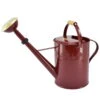 Zinkgießkanne Mit Holzgriff Und Messingbrause, Weinrot 2 Zinkgießkanne Mit Holzgriff Und Messingbrause, Weinrot -Gartenprodukte 0930401362 0930401364 Koelle Zinkgiesskanne mit Holzgriff Messingbrause weinrot 84492