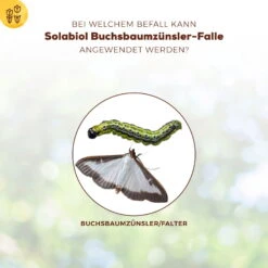 Solabiol Buchsbaumzünsler-Falle, Ausreichend Für Bis Zu 180 M² -Gartenprodukte 0950200723 Buchsbaumzuensler Falle fuer bis zu 180qm Flaeche 1 107232