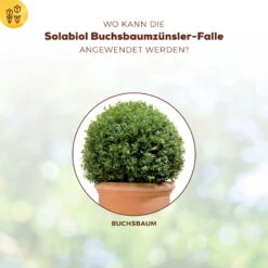 Solabiol Buchsbaumzünsler-Falle, Ausreichend Für Bis Zu 180 M² -Gartenprodukte 0950200723 Buchsbaumzuensler Falle fuer bis zu 180qm Flaeche 4 107233