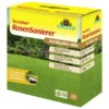 Terra Preta®, Terra Vital RasenSanierer, 4,5 Kg -Gartenprodukte 0950200774 Terra Vital Rasen Sanierer 104954
