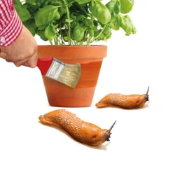 Schnexagon, Anstrich Gegen Schnecken, 375 Ml -Gartenprodukte 0950300991 Schnexagon 375ml 1 94152