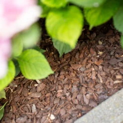 Plantavital Rindenmulch Fein, 2280l, 57 Sack á 40l 8 Plantavital Rindenmulch Fein, 2280l, 57 Sack á 40l -Gartenprodukte 0960 rindenmulch 125174 1