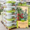 Kölle Bio Kübelpflanzenerde Torffrei, 2280l, 57 Sack á 40l 1 Kölle Bio Kübelpflanzenerde Torffrei, 2280l, 57 Sack á 40l -Gartenprodukte 0960300251 Koelle Bio Kuebelpflanzenerde 40l Palette 57St 85674