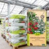 Kölle Bio Kübelpflanzenerde Torffrei, 1440l, 36 Sack á 40l -Gartenprodukte 0960300252 Koelle Bio Kuebelpflanzenerde 40l Palette 36Stueck 85673