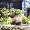 Pflanztopf 'Shelly Sheep', Ca. 26 X 35 X 15 Cm 1 Pflanztopf 'Shelly Sheep', Ca. 26 X 35 X 15 Cm -Gartenprodukte 0980306618 Shelly Sheep 5 99250