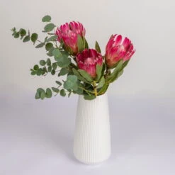 Blumenbund Protea 'Silvia' & Eukalyptus, Inkl. Gratis Grußkarte -Gartenprodukte 1025700018 Strauss Protea Silvia mit Cinerea 2 102267