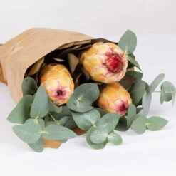 Blumenbund Protea & Eukalyptus, Inkl. Gratis Grußkarte -Gartenprodukte 1025700019 Strauss Protea Grandiflora 2 1 101682
