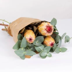 Blumenbund Protea & Eukalyptus, Inkl. Gratis Grußkarte -Gartenprodukte 1025700019 Strauss Protea Grandiflora 2 101681