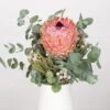 Blumenbund Protea Barbigera Mit Eukalyptus Und Brunia, Inkl. Gratis Grußkarte -Gartenprodukte 1025700025 Strauss Protea Barbi Brun 1 101700