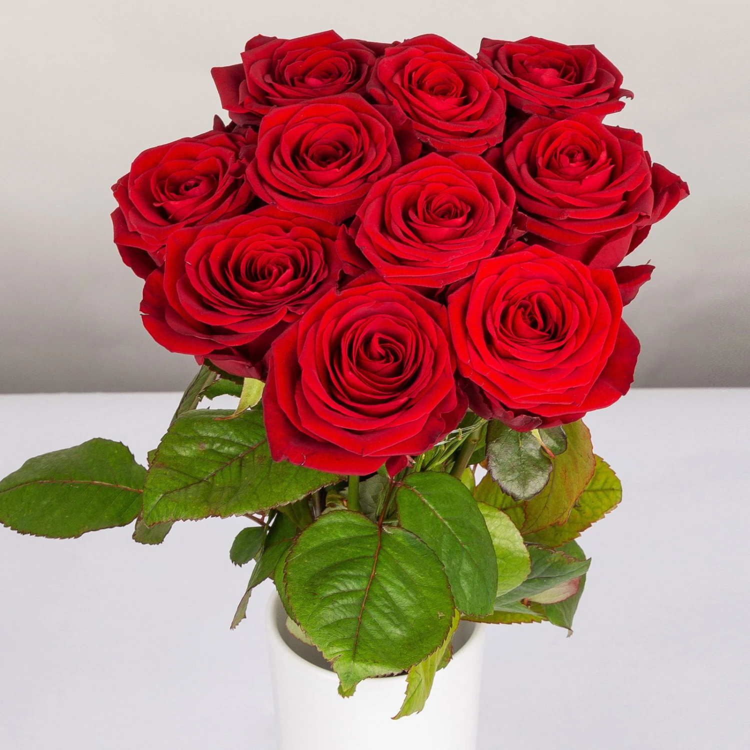 Blumenbund Mit Rosen 'Red Naomi', 10er-Bund, Rot, Inkl. Gratis Grußkarte 3 Blumenbund Mit Rosen 'Red Naomi', 10er-Bund, Rot, Inkl. Gratis Grußkarte