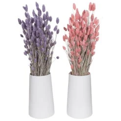 Lila & Rosa Glanzgras, 2er-Set, Länge Ca. 70 Cm -Gartenprodukte 1055300007 Phalaris 2er Set rosa und lila 1 83169