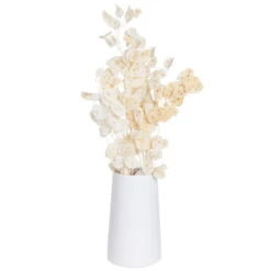 Silbertaler, Getrocknet, Lunaria, Ca. 80 Cm Lang -Gartenprodukte 1055300008 Lunaria weiss mit Tuete 1 83201