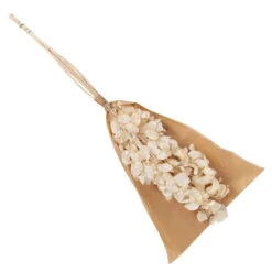 Silbertaler, Getrocknet, Lunaria, Ca. 80 Cm Lang -Gartenprodukte 1055300008 Lunaria weiss mit Tuete 83200