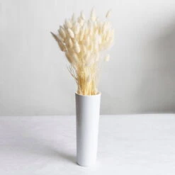 Samtgras Im Bund, Gebleicht Und Getrocknet, Ca. 65 Cm -Gartenprodukte 1055300010 Lagurus gebleicht 2 89168