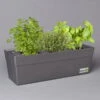 Küchenkräuter Basilikum, Oregano & Petersilie, Topf 11x11 Cm, Inkl. Greenbar® -Gartenprodukte 1610300383 Greenbar Kuechenkraeuter Kasten Anthrazit und 3Kraeuter t 122882