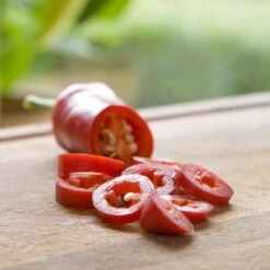 Blu Bio Chilipflanze Zwerg-Chili, Topf-Ø 12 Cm, 3er Set -Gartenprodukte 1620330132 Blu Bio Zwerg Chili mit Fruechte T12 3er Set extra scharf 2 124305