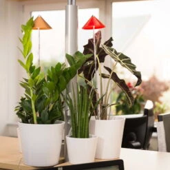 Sunlite Pflanzenlampe Kupfer, 7 Watt 11 Sunlite Pflanzenlampe Kupfer, 7 Watt -Gartenprodukte 2950200231 Sunlite Pflanzenlampe Kupfer 7W 1 60399