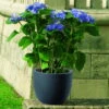 Euro 3 Plast Pflanzkübel Etria Perlschwarz -Gartenprodukte 3210102276 Pflanzkuebel Etria perlschwarz 34cm Erdvol 14Ltr 34355