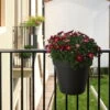 Balkon-Hängetopf Be Up Duo Mit Wasserreservoir, Anthrazit, 25 Cm, Erdvol. 8 L -Gartenprodukte 3210103541 Balkon Haengetopf Be Up Duo mitWassereinsatz anthrazit 25cm 8L 46800