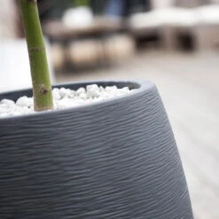 Pflanzgefäß Graphit Egg, Anthrazit, Wasserdicht, Robust -Gartenprodukte 3210103698 Pflanzgefaess Graphit Egg anthrazit D50xH60cm 53Ltr 2 62075