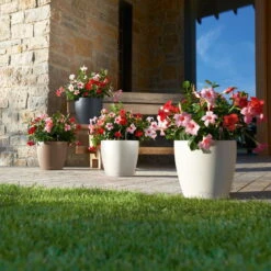 LECHUZA Pflanztopf 'Classico Color 60', Grau, Ø 60 X H 55,5 Cm -Gartenprodukte 3210103919 Pflanzgefaess Classico Color 60 All in 1 schiefergrau 3 109198