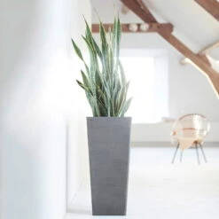 Pflanzgefäß 'Rotterdam MidHigh', Grau 7 Pflanzgefäß 'Rotterdam MidHigh', Grau -Gartenprodukte 3210104153 pflanzgefaess rotterdam high 1 117471