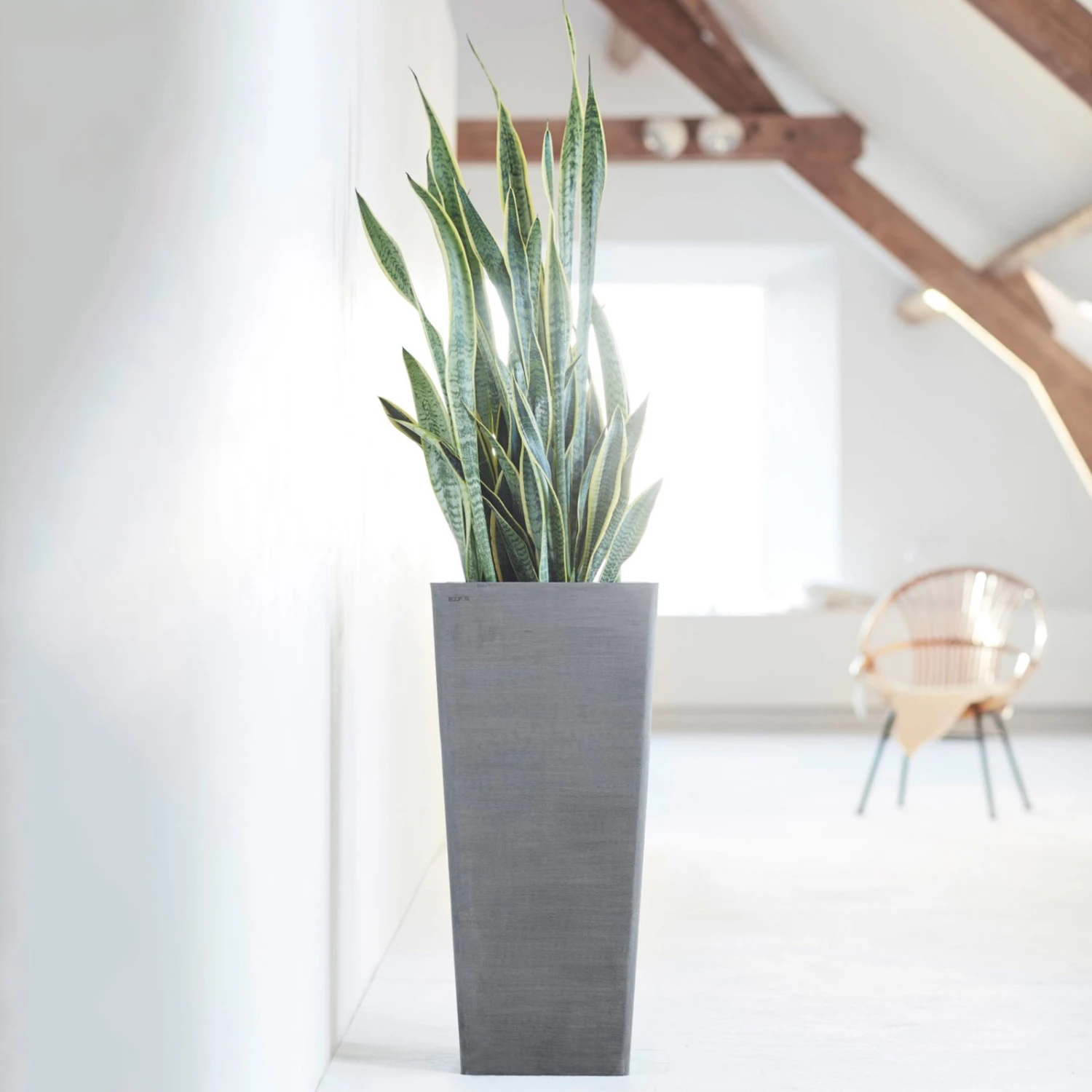 Pflanzgefäß 'Rotterdam MidHigh', Grau 5 Pflanzgefäß 'Rotterdam MidHigh', Grau – Bild 3