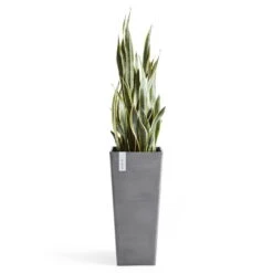 Pflanzgefäß 'Rotterdam MidHigh', Grau 6 Pflanzgefäß 'Rotterdam MidHigh', Grau -Gartenprodukte 3210104153 pflanzgefaess rotterdam high 3 117469