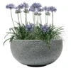 Pflanzschale Rock Line Banham, Granitgrau, Ø 35 X H 17 Cm -Gartenprodukte 3210801301 3210801302 3210801303 Pflanzschale Rock Line Banham granit grau 2 55636 1