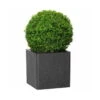 Pflanztrog IQ Dutch Spencer, Schwarz, Frostfest Bis - 40 °C, Stabil, 100% Recycelbar -Gartenprodukte 3230101068 3230101069 3230101070 3230101071 Pflanztrog iQ Dutch Spencer schwarz4 78735