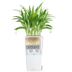 LECHUZA Cubico Premium 40, Weiß Hochglanz, All-in-One-Set, 40 X 40, H:75 Cm -Gartenprodukte 3325100114 CubicoPremium22 weiss All in One Set 22x22x41cm RGB 7573